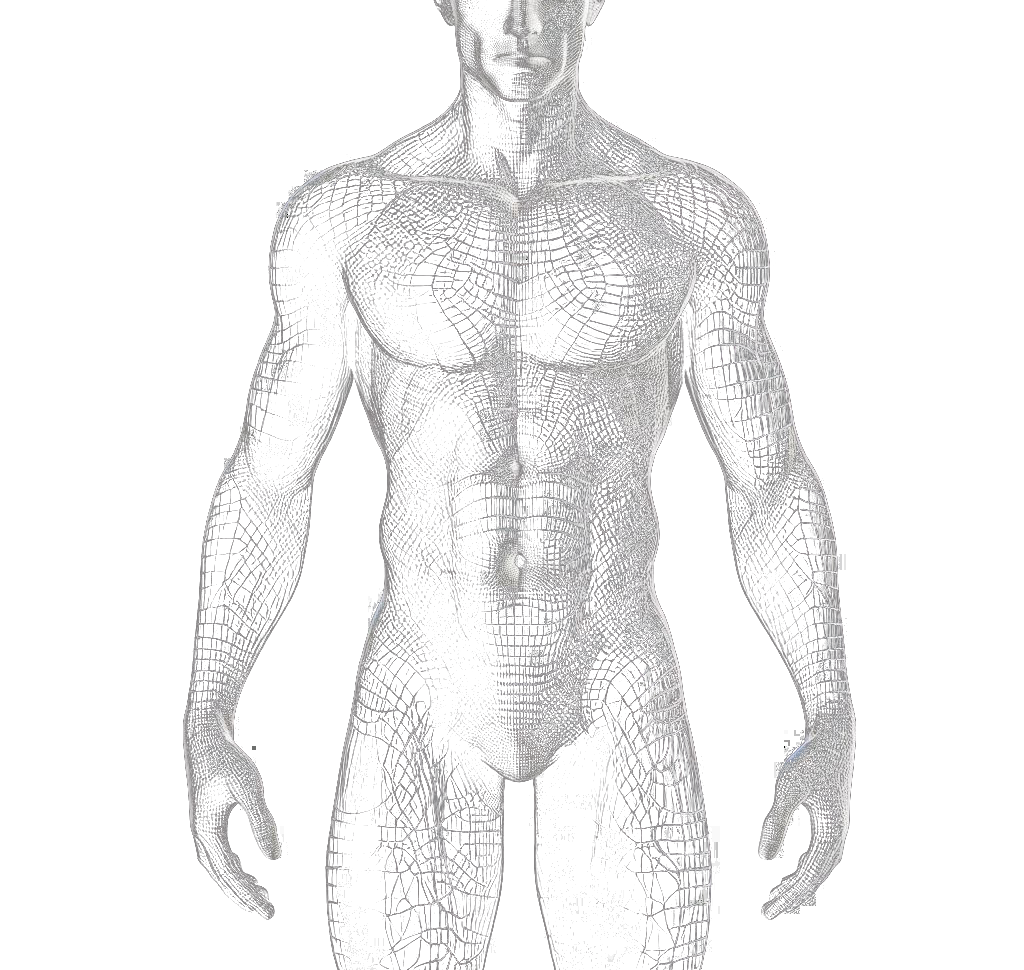manbasewire